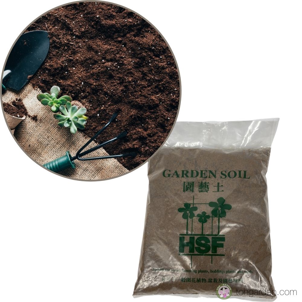 Garden Soil / 5L Toh Garden Singapore Orchid Plant & Flower Grower