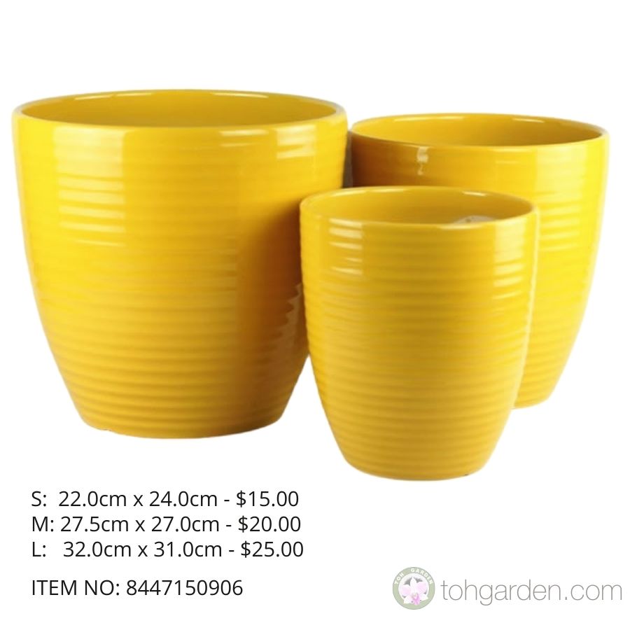 Yellow Ceramic Pot Item No 8447150906 Toh Garden Singapore