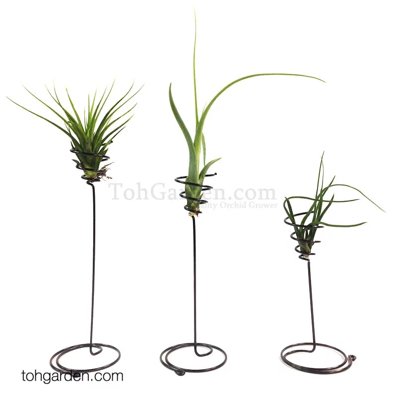 Twirly wire holder