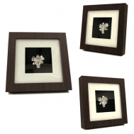 .999 Silver dipped Real Orchid in Frame