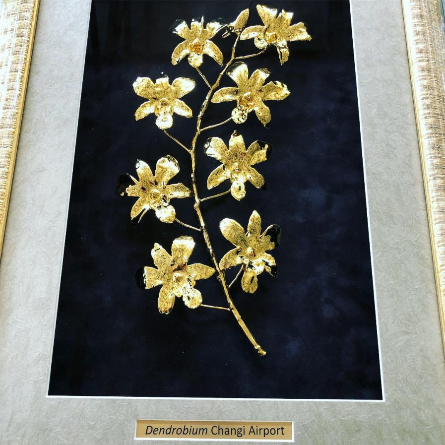 Gold Plated flowers in frame