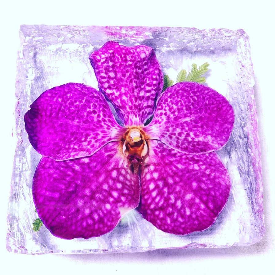 Orchid Crystal