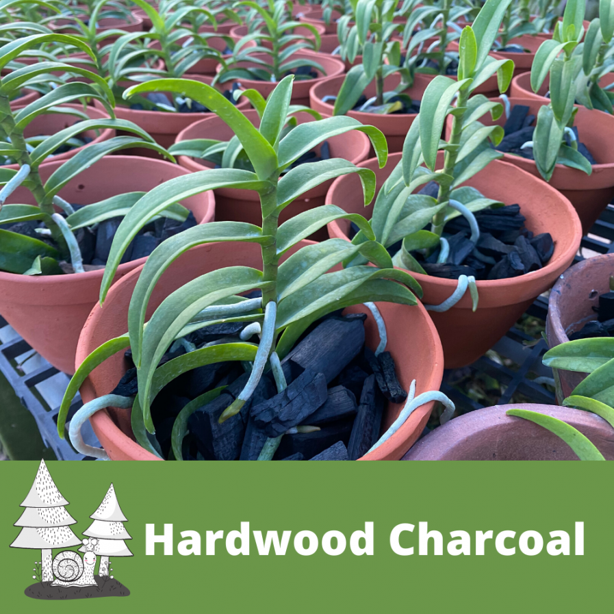 Hardwood Charcoal For Growing Orchids