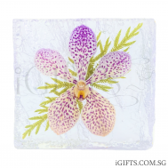 Aranda Christine Orchid Crystal
