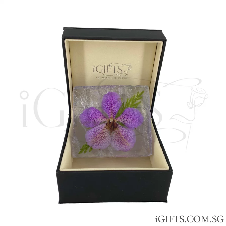 Crystal Boxx