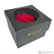 Ecuadorian Preserved Rose (7 colours)