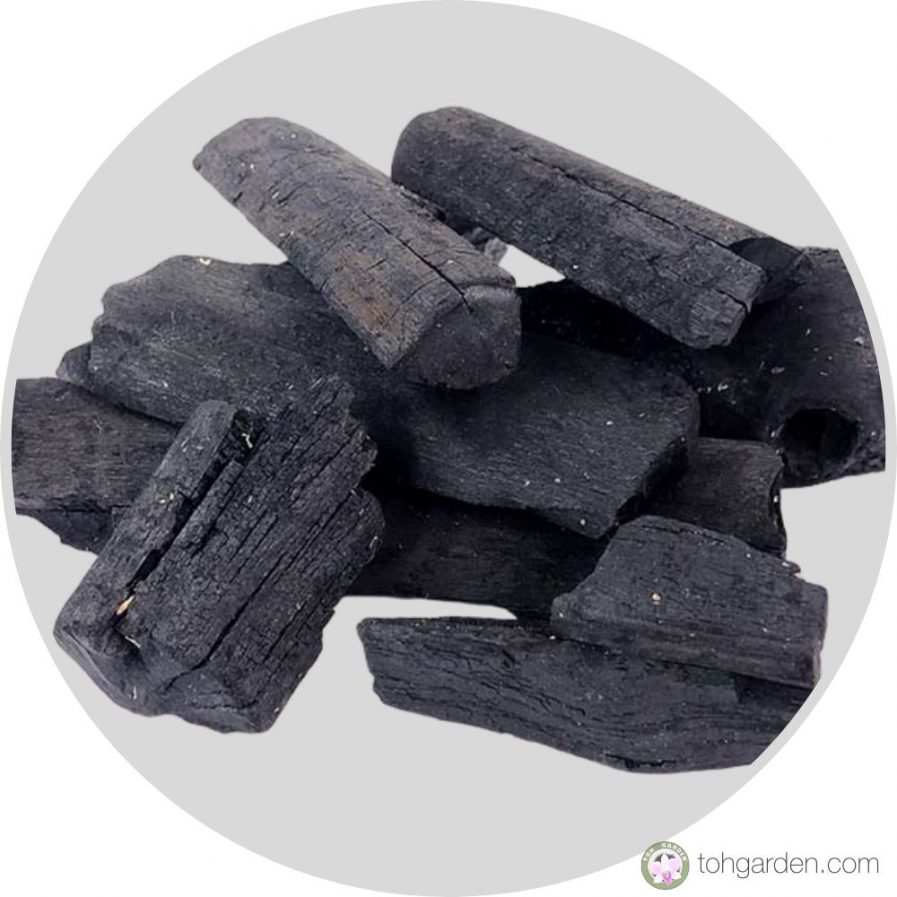 Hardwood Charcoal For Growing Orchids 5L .