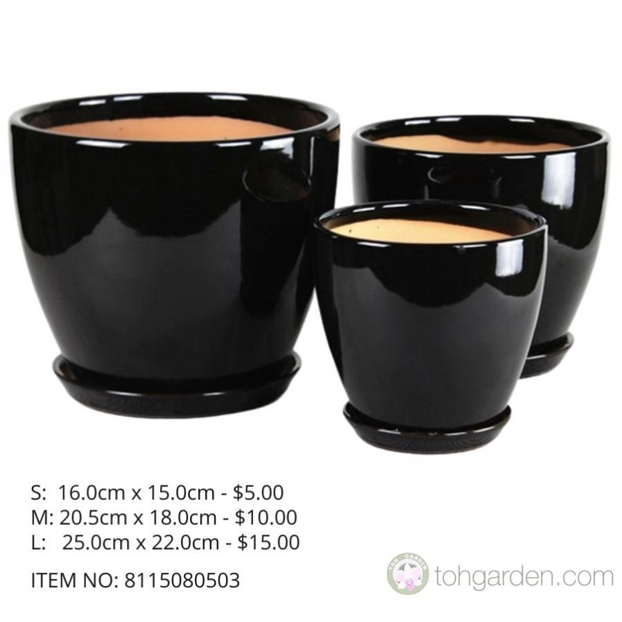 Black Ceramic Pot (ITEM NO 8115080503)