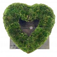 Heart of Moss