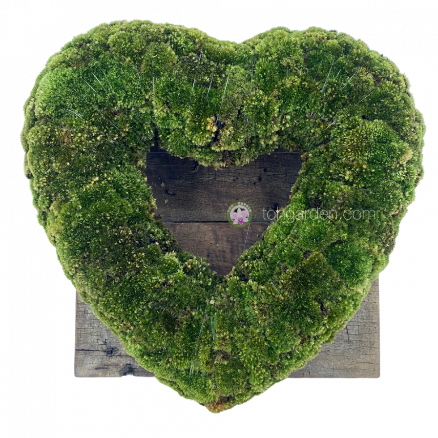 Heart of Moss