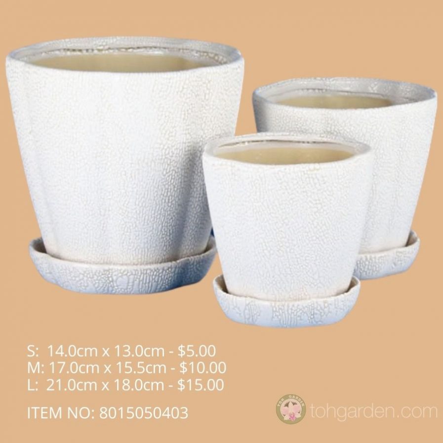 White Ceramic Pot (ITEM NO 8015050403)