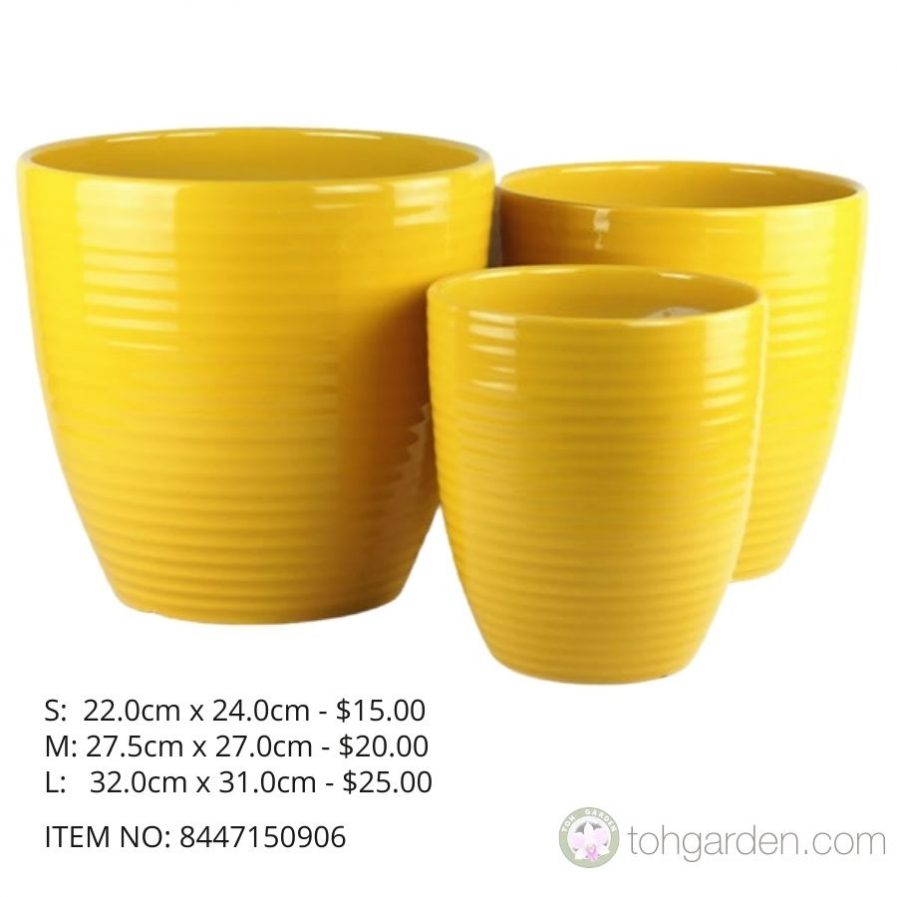 Yellow Ceramic Pot (ITEM NO 8447150906)