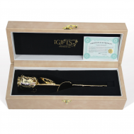Gold Rose in Moonstone Giftbox