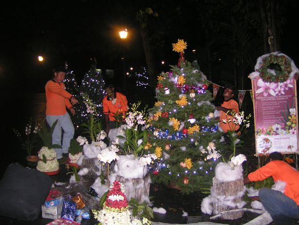 Xmas Tree Decor in Progress