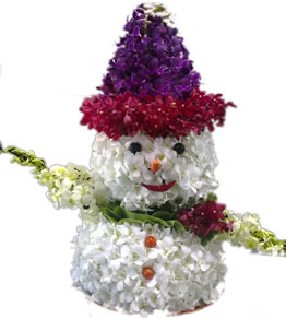 Orchid Snow Man