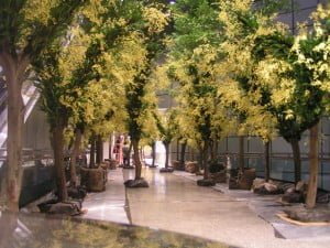 The Oncidium Walkway