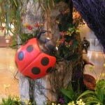 Ladybird Mascot