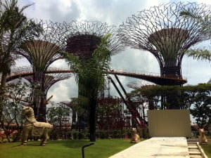 Spiral pathway being constructed around the Supertrees