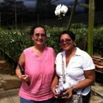 Visitors to Orchid Nursery