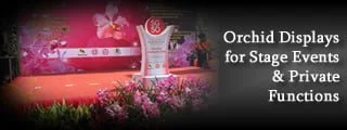 Orchid Displays for Stage Events & Private Functions