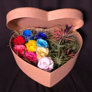 Preserved Rose & Airplant (Heart)