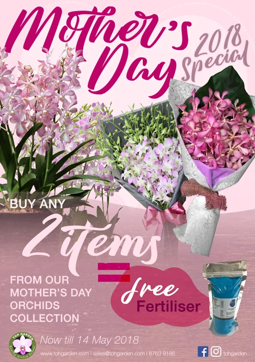 Toh Garden 2018 Mother’s Day Orchid Collection. Buy 2 items get free fertiliser.