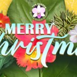 Beautiful Christmas 2019