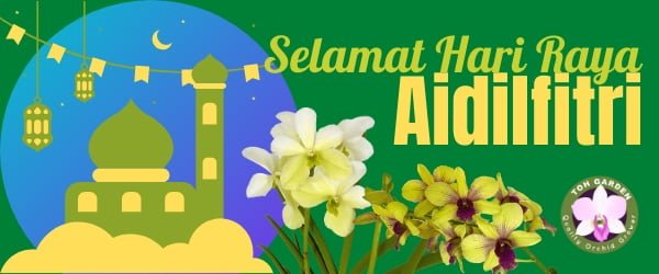 Hari Raya 2020