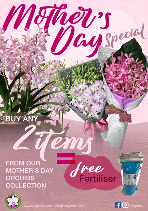 Happy Mother S Day 2020 Toh Garden Singapore Orchid Plant Flower Grower