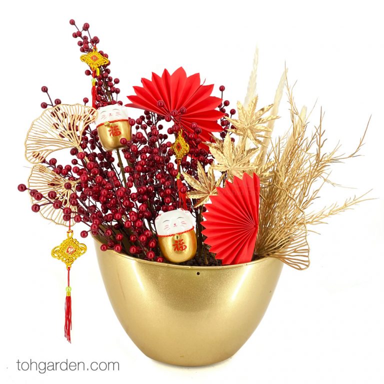 Chinese New Year Plants & Orchids 2021 Toh Garden Singapore Orchid