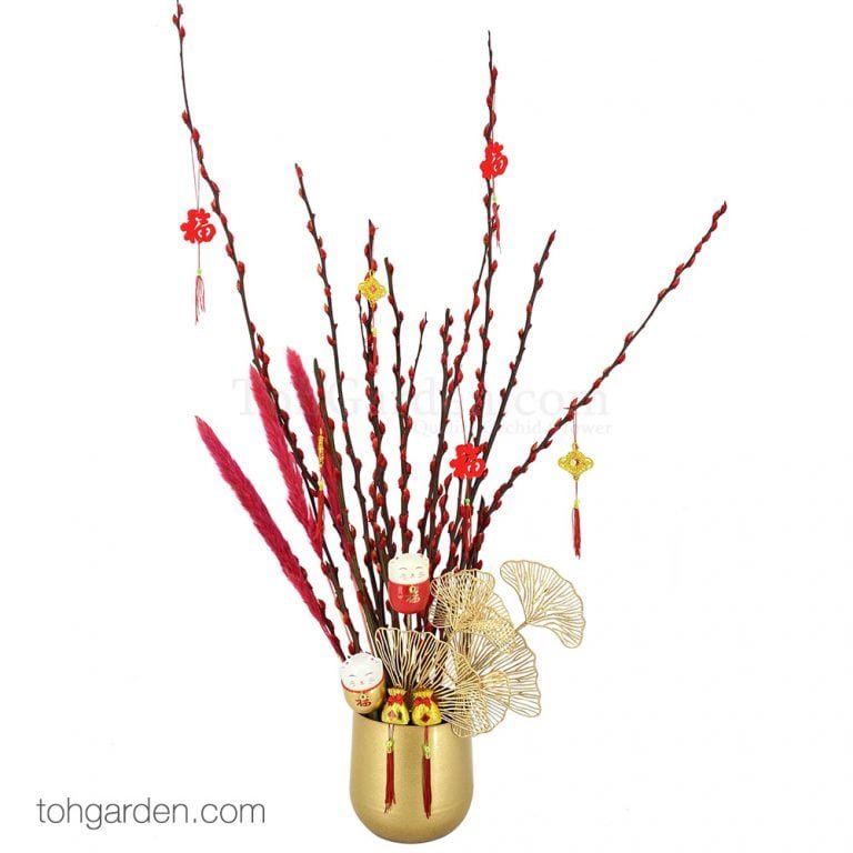 Chinese New Year Plants & Orchids 2021 Toh Garden Singapore Orchid