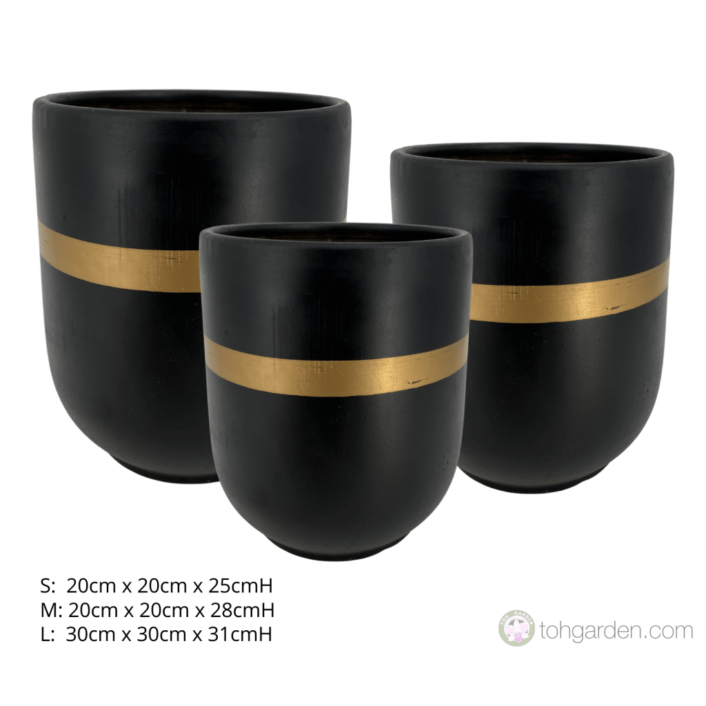 Black Ceramic Pot Toh Garden Singapore Orchid Plant & Flower Grower