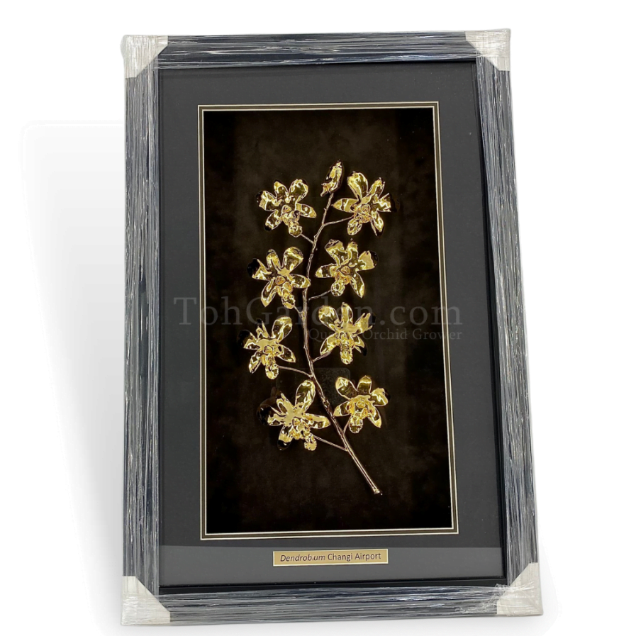 Gold Orchids in Frame