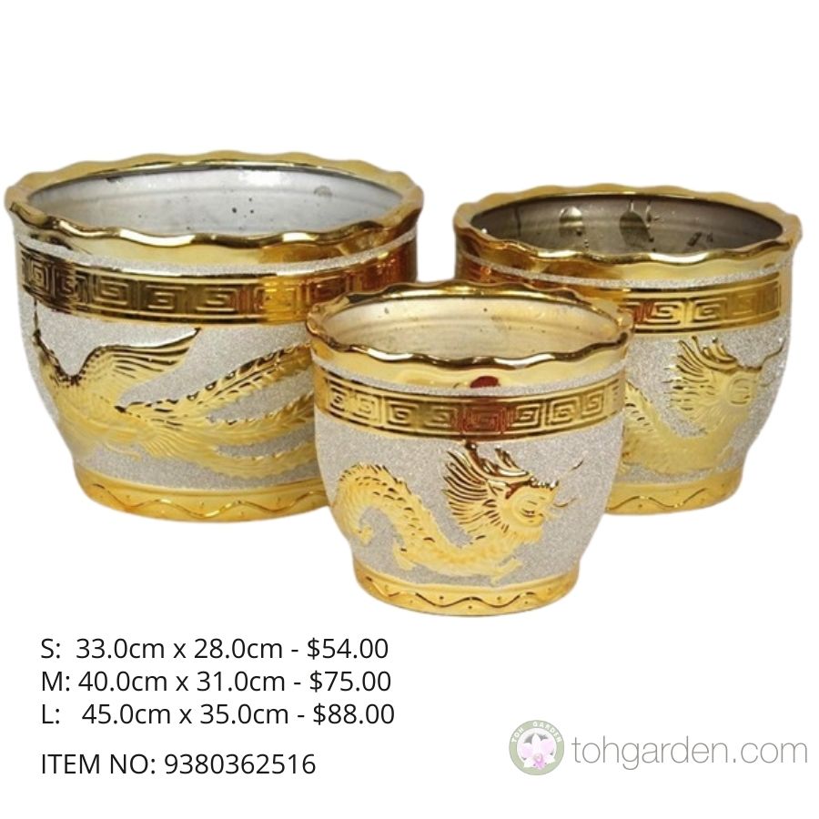 Gold Ceramic Pot (ITEM NO: 9380362516) - Toh Garden : Singapore Orchid ...