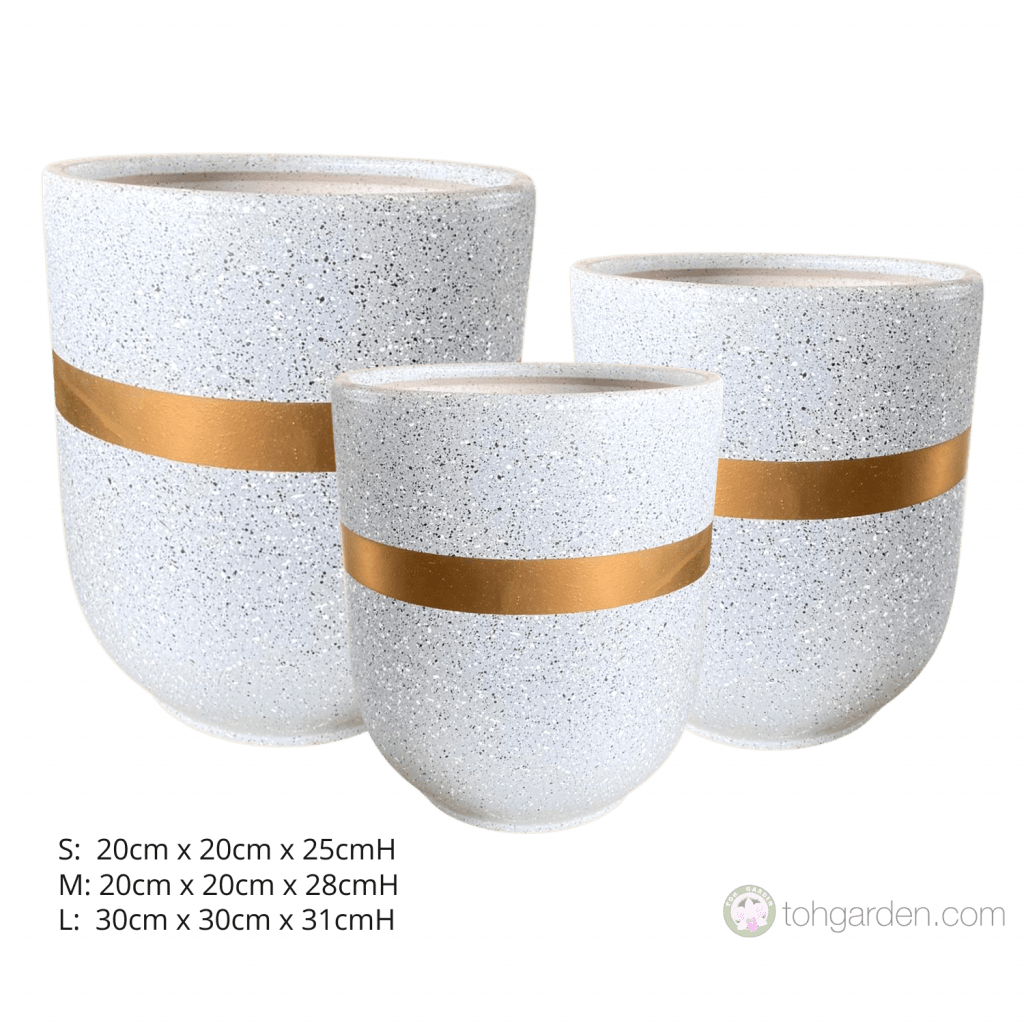 Gray Ceramic Pot Toh Garden Singapore Orchid Plant & Flower Grower