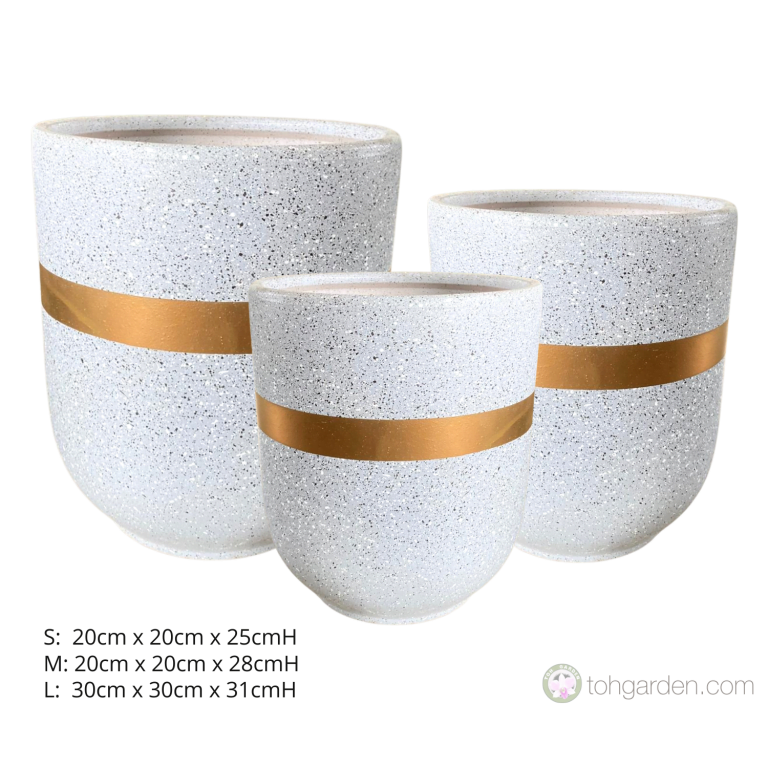 Plantaflor Plus Potting Mix / 5L Toh Garden Singapore Orchid Plant