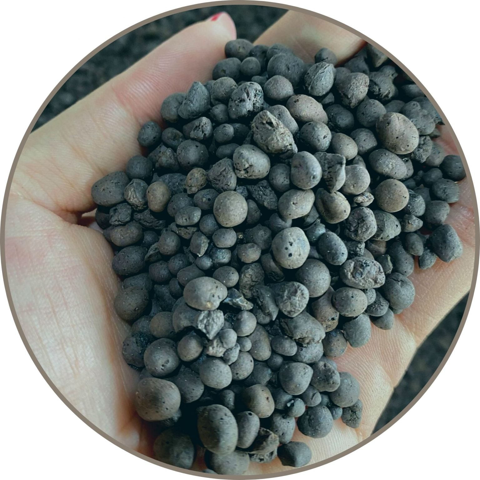 Leca Stone Clay Balls For Hydroponics 2kg 5l Toh Garden