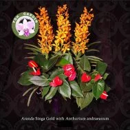 Singa Gold with red anthuriums Arrangement 3 in 1