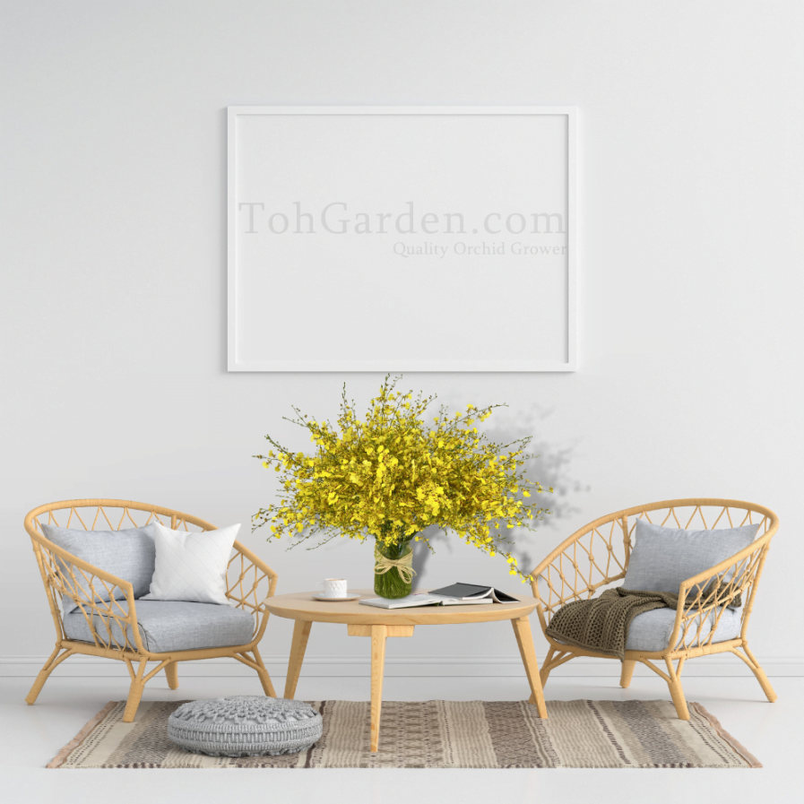 Golden Shower Flower Arrangement in Living Room