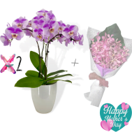 Two Sets of Oriental Beauty Phalaenopsis Arrangement (3 in 1) With a Bouquet