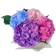 Korea Hydrangea Bouquet (Seasonal)