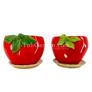 Apple Ceramic Pot
