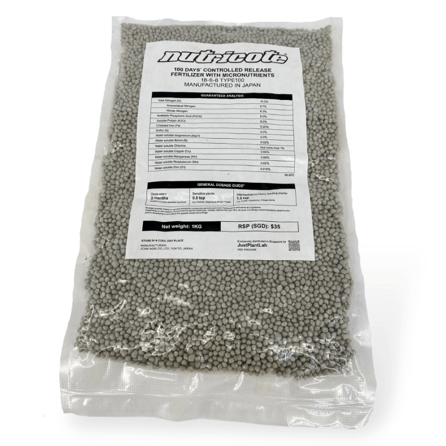 'Nutricote' Fertilizer 18-6-8 (100 days controlled release fertilizer)
