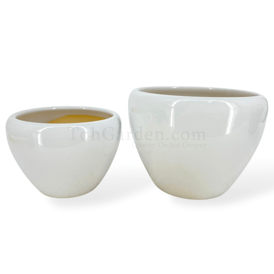 White Ceramic Pot (ITEM NO: SY8098)