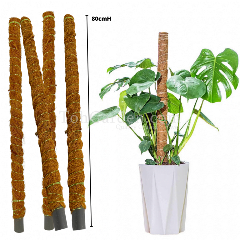 Coco Stick/ Plant Support Pole for Climbing Plants Indoor/Outdoor Toh