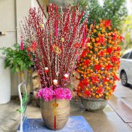 Bountiful Spring Arrangement