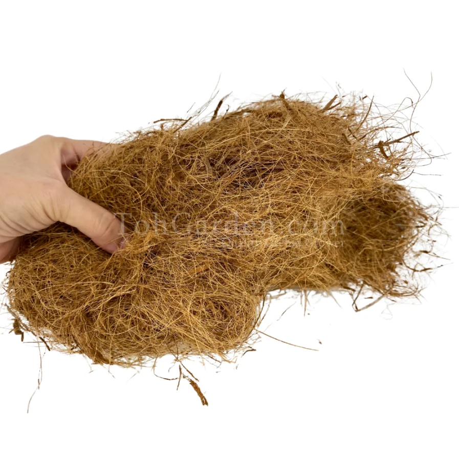 Coconut Fiber / 200g