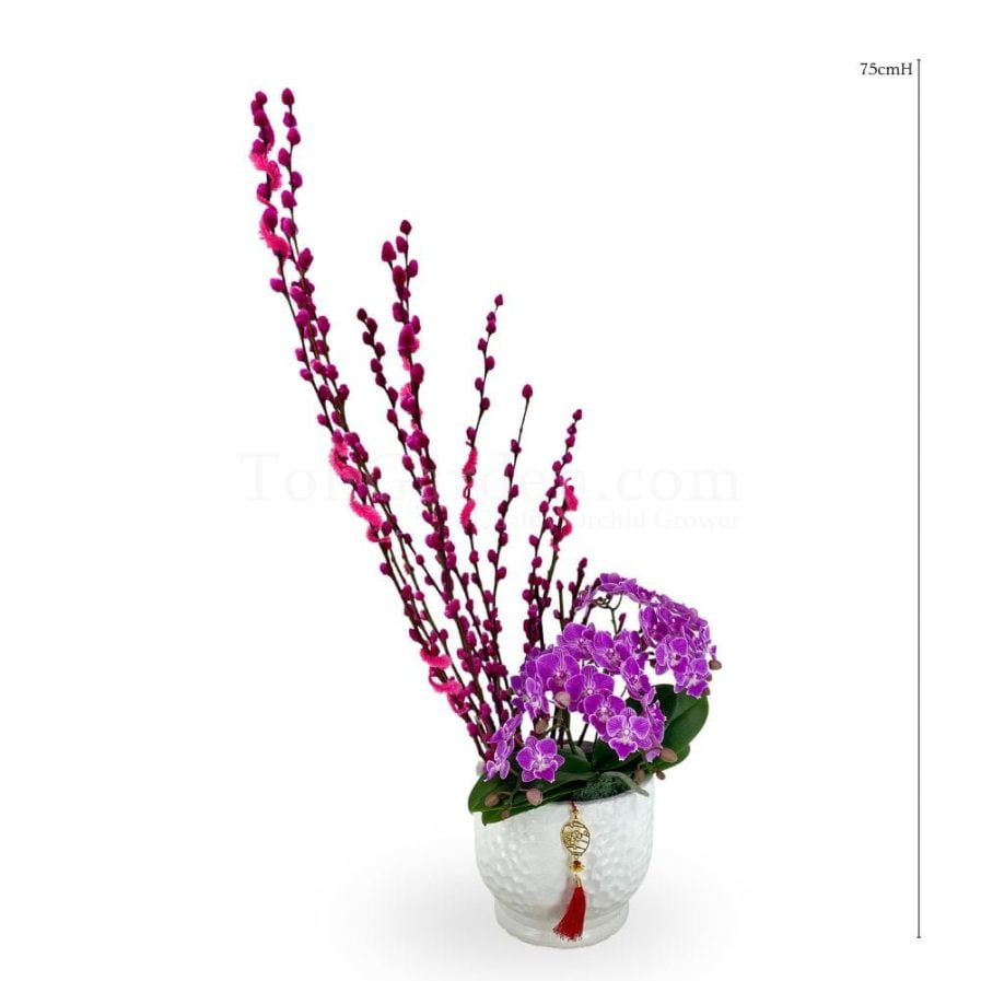 Orchid | Pussy Willow Arrangement