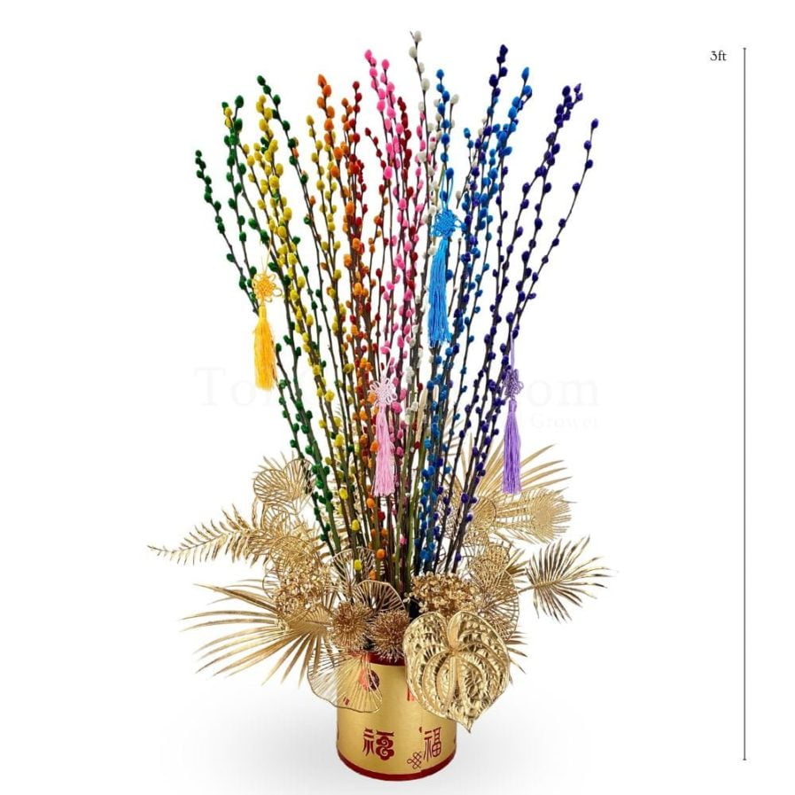 Over the Rainbow | Pussy Willow Arrangement