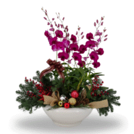 Orchid Bells of Christmas